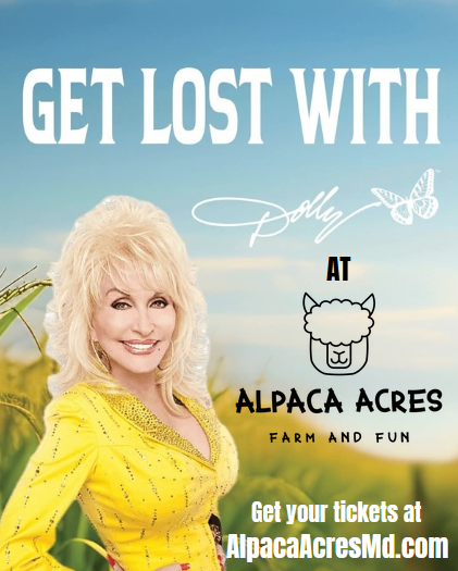 Get Lost With Dolly!